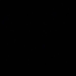 Meet your Posher, Mclean